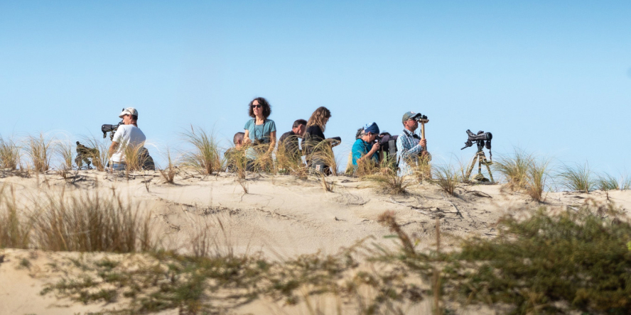 Observateurs sur la Dune